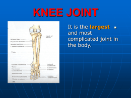 21-KNEE JOINT