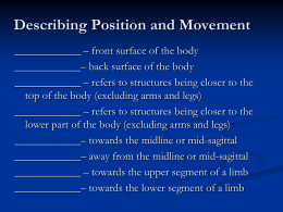Terms of Movement