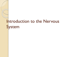 Brachial Plexus slides