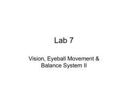 BB Lab 7