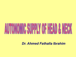 25-autonomic supply of head & neck