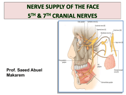 L11-5th & 7th cranial nerves-Dr saeed