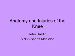 Anatomy and Injuries of the Knee