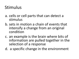 Stimulus - wsscience