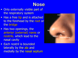 14-Nasal cavity
