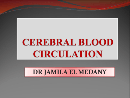16-blood supply of cerebrum