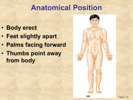 The Human Body: Anatomical Regions, Directions, and Body Cavities