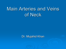 18-Main Arteries & Veins of Neck2010-10