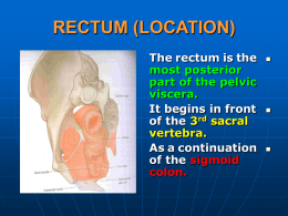 35-rectum_&_urinary_..