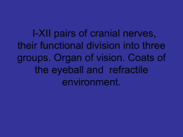 07 Cranial nerves, their functional division into three groups. Organ
