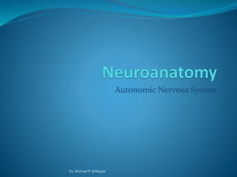 Anat3_08_Autonomic_Nervous_System1