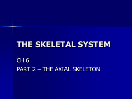 the skeletal system - Dr. Brahmbhatt`s Class Handouts