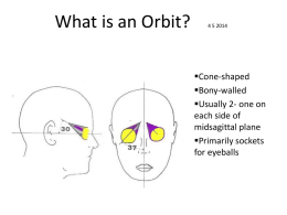Orbits and Optics