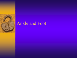 Leg, Ankle, Foot