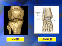 22-Knee & Ankle Joints121