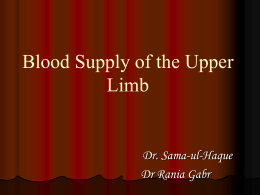 6,7-Blood supply of the Upper Limb