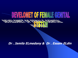 02DEVELOPMENTOF_FEMALE_GENITAL_SYSTEM_(11).