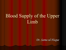 T7,8_Blood_supply_of_the_Upper_Limb