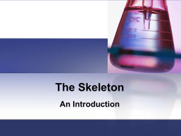 The Skeleton