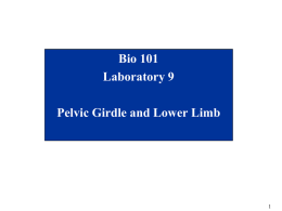 Bio101_Lab9
