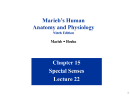 Bio211 Lecture 22