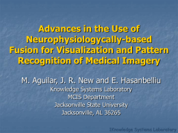 Advances in the Use of Neurophysiologycally-based Fusion for Visualization and Pattern