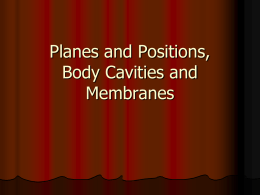 membranes notes (powerpoint)