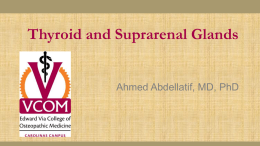 Surgical importance of Thyroid Gland