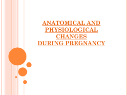 anatomical and physiological changes during pregnancy