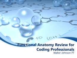 Functional Anatomy Review for Coding Professionals
