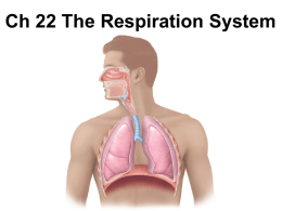 Respiratory Ch 22-Teacher