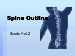 Spine Outline
