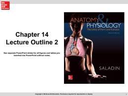 ch14_Brain and Cranial Nerves Part 2