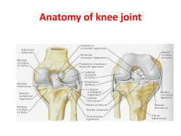 Knee deformity :-Bow legs(Genu varum)and Knock knees(Genu