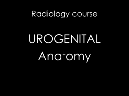 Radiology course