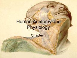 Human Anatomy and Physiologych1newupdatefixed