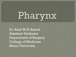 Oropharynx - muhadharaty.com