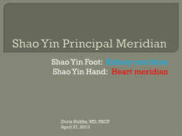 Shao Yin Principal Channel