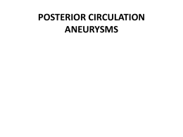 posterior circulation aneurysms
