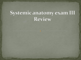 Systemic anatomy exam III Review