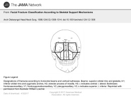 Facial Fracture Classification According to Skeletal Support