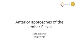 Lumbar Plexus Blocks-the anterior approaches