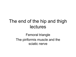 The end of the hip and thigh