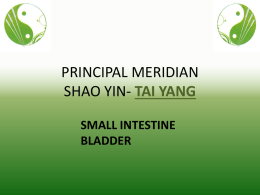principal meridian shao yin- tai yang