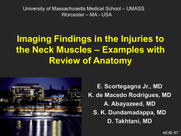 Imaging Findings in the Injuries to the Neck Muscles