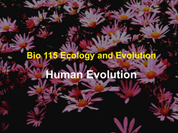 Bio160Lecture42(Human)x