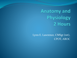 Anatomy 2 Hours
