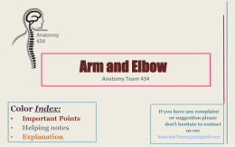 8.Arm and Elbowx2014-12
