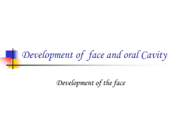 Development of the Face