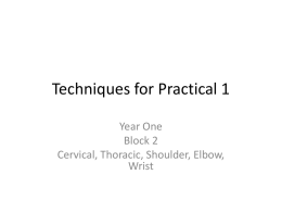 Techniques for Practical 1